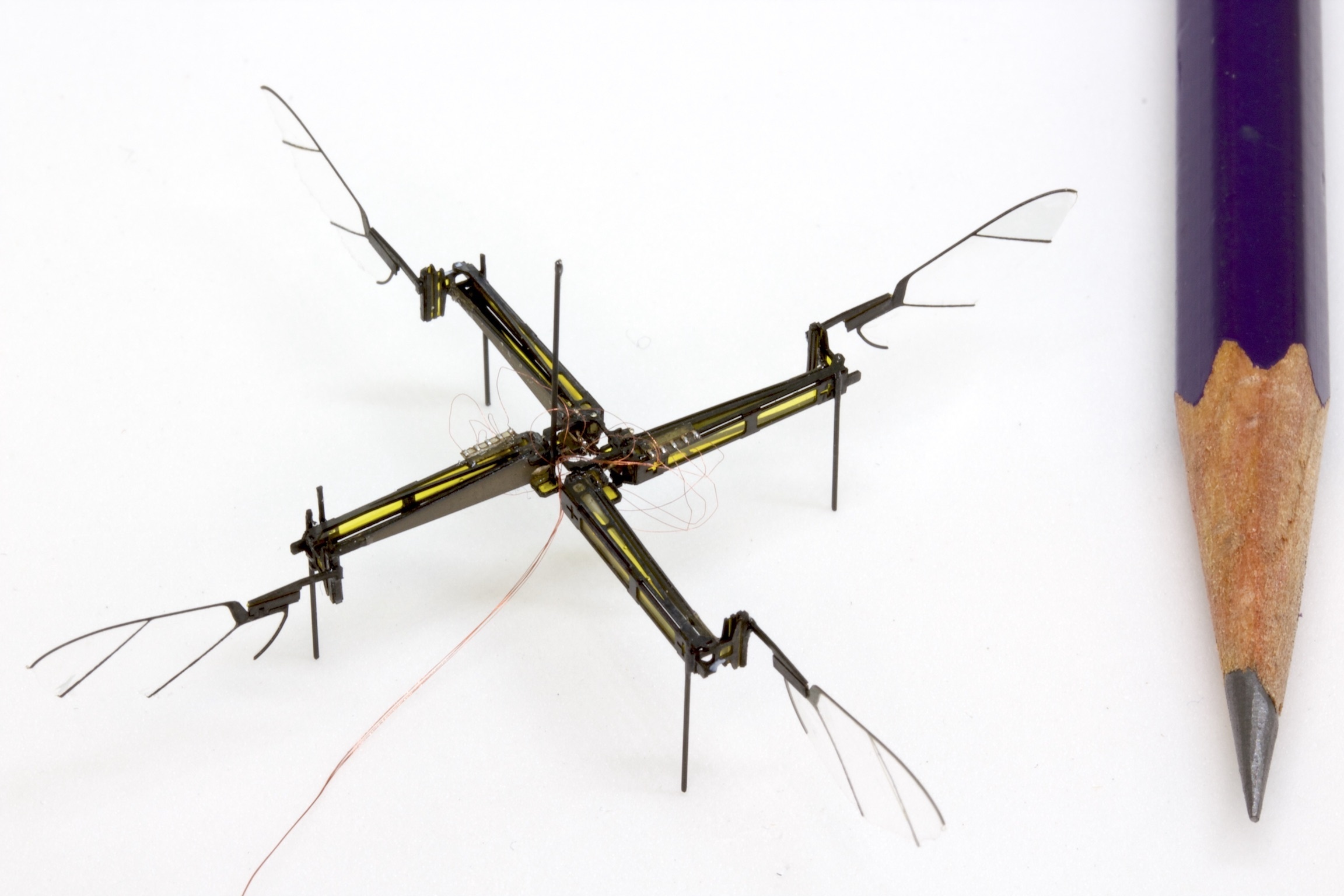 Robotický hmyz z Washingtonu