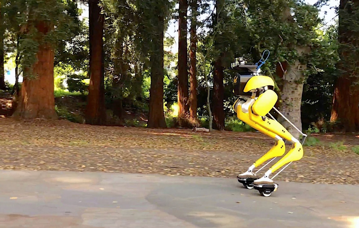 Robotické stvorenie si na kolieskových korčuliach obhliada vysokoškolský kampus v Kalifornii